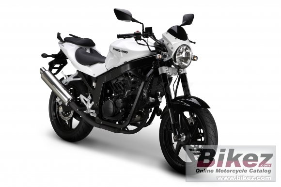 2010 Hyosung GT 250 photo